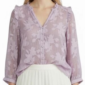 Romantic Anthropologie Maeve Embroidered Sheer Blouse 3/4 Sleeve Sz 4 Coquette